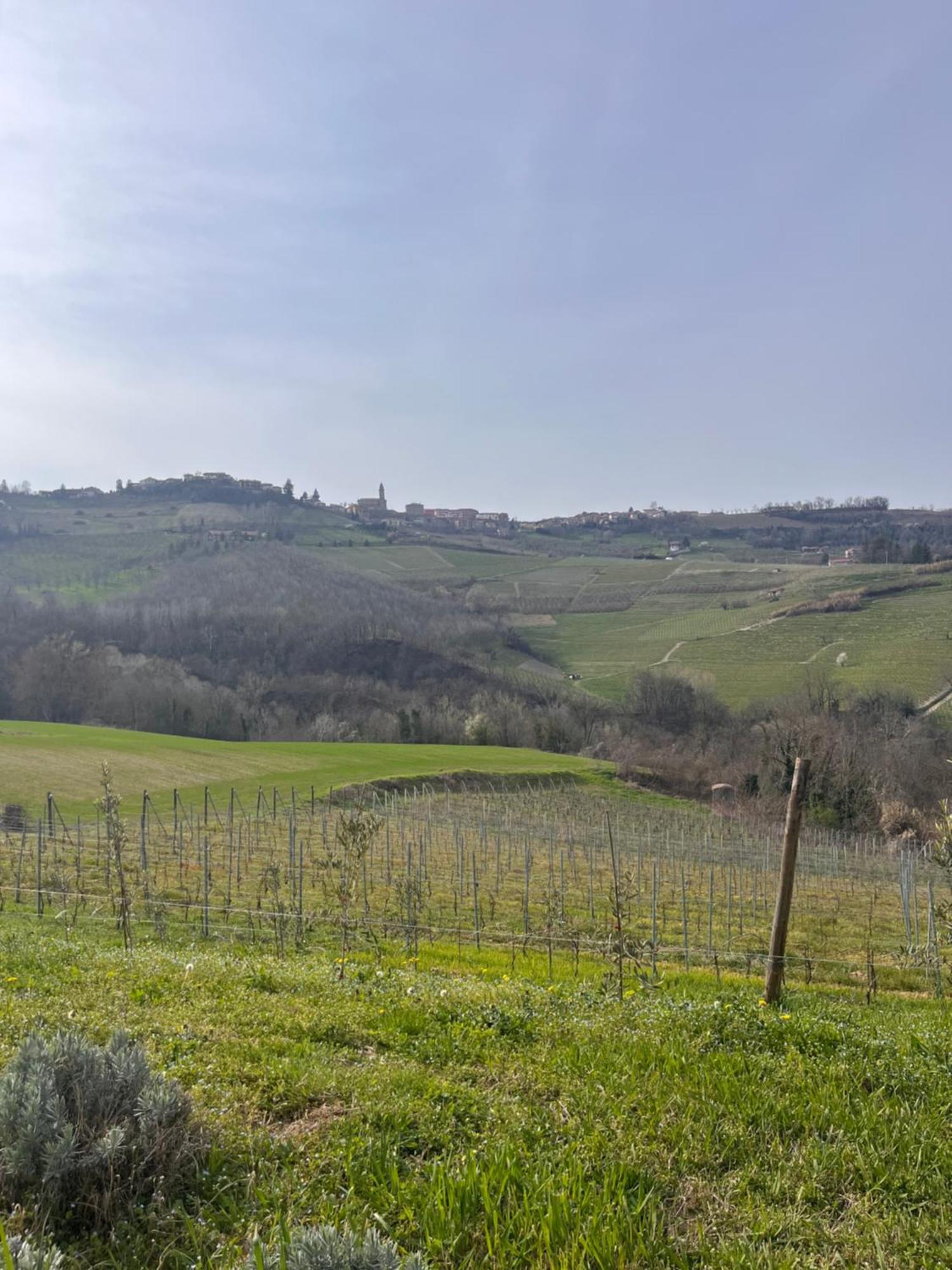 Le Cornici - Cascina Di Charme Otel Diano dʼAlba Dış mekan fotoğraf