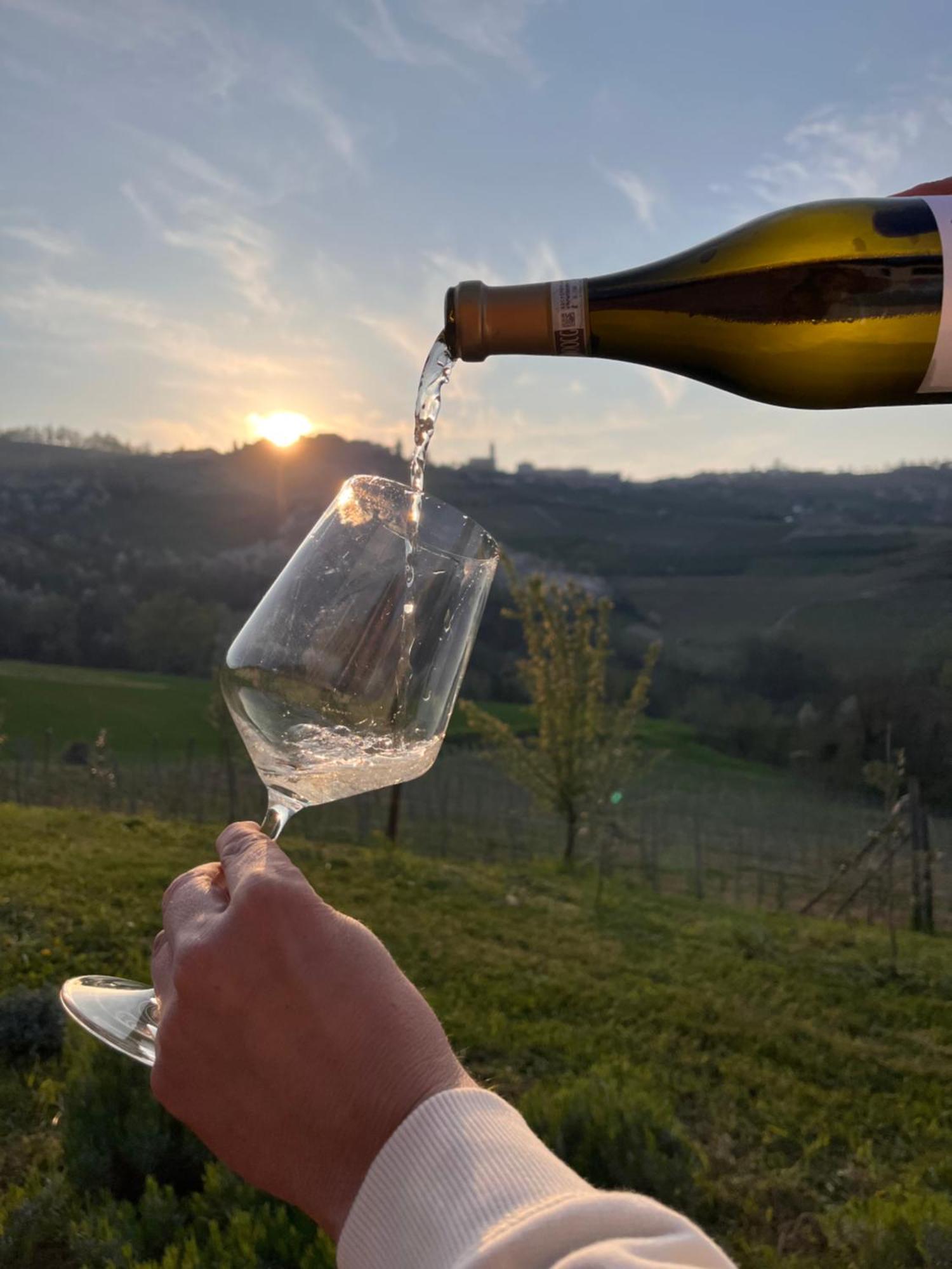 Le Cornici - Cascina Di Charme Otel Diano dʼAlba Dış mekan fotoğraf